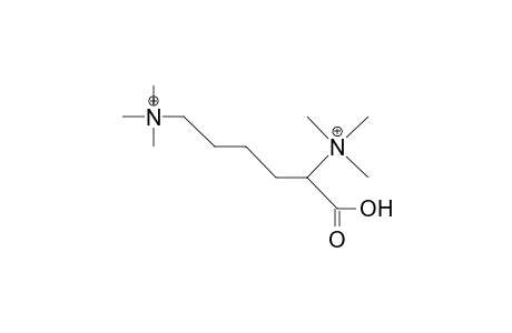 Lysine-betaine dication