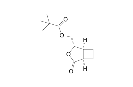 [(1S,2S,5R)-4-oxidanylidene-3-oxabicyclo[3.2.0]heptan-2-yl]methyl 2,2-dimethylpropanoate