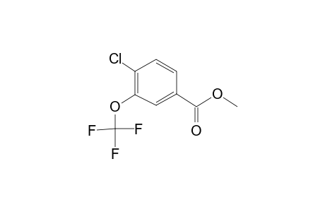 4-Chloro-3-(trifluoromethoxy)benzoic acid, methyl ester