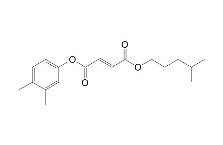 Fumaric acid, 3,4-dimethylphenyl isohexyl ester