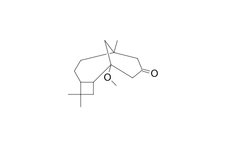 8-METHOXY-6-OXO-4,11,11-TRIMETHYL-TRICYCLO-[6.3.1.0(2,5)]-DODECANE