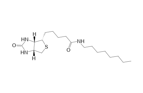 Biotin-N-(1'-octyl)-amide