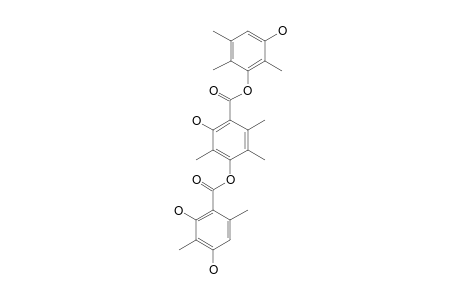 THIELAVIN-I;1-[4'-(2'',4''-DIHYDROXY-3'',6''-DIMETHYLBENZOYLOXY)-3',5',6'-TRIMETHYL-2'-HYDROXYBENZOYLOXY]-3-HYDROXY-2,5,6-TRIMETHYLBENZEN