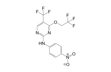 2-(4-nitrophenylamino)-4-(2,2,2-trifluoroethoxy)-5-(trifluoromethyl)pyrimidine