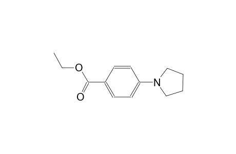ethyl 4-(1-pyrrolidinyl)benzoate