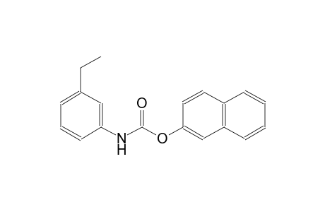 carbamic acid, (3-ethylphenyl)-, 2-naphthalenyl ester