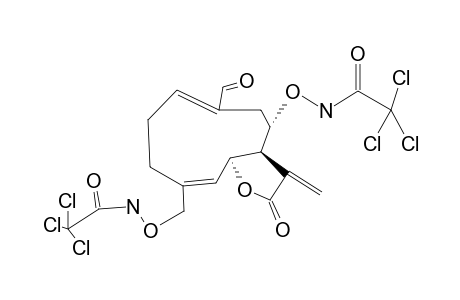 UROSPERMAL-A+TAI