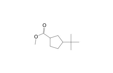 Cyclopentanecarboxylic acid, 3-(1,1-dimethylethyl)-, methyl ester