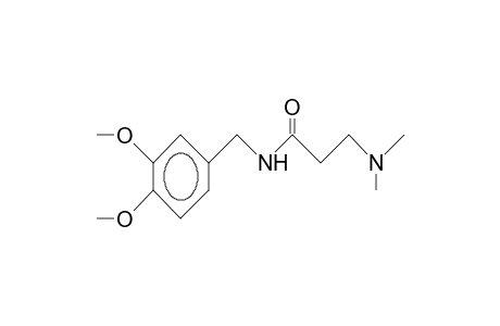 N-(3,4-Dimethoxy-benzyl)-3-dimethylamino-propionamide