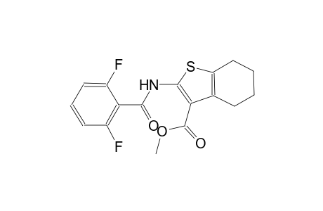methyl 2-[(2,6-difluorobenzoyl)amino]-4,5,6,7-tetrahydro-1-benzothiophene-3-carboxylate