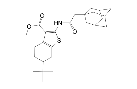 methyl 2-[(1-adamantylacetyl)amino]-6-tert-butyl-4,5,6,7-tetrahydro-1-benzothiophene-3-carboxylate