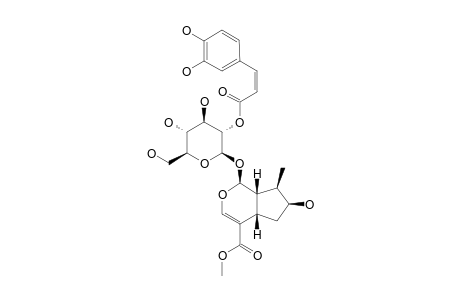 2'-O-CIS-CAFFEOYL-LOGANIN