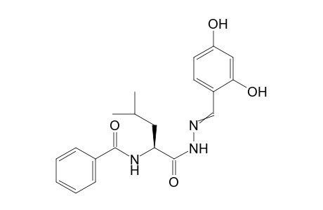 (S)-N'-(2,4-Dihydroxybenzylidene)-2-benzamido-4-methylpentanehydrazide