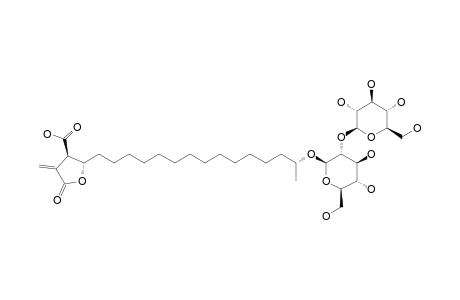 ALLO-MUROLIC-ACID-(18R)-18-O-BETA-D-GLUCOPYRANOSYL-(1->2)-BETA-D-GLUCOPYRANOSIDE