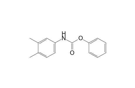 3,4-dimethylcarbanilic acid, phenyl ester
