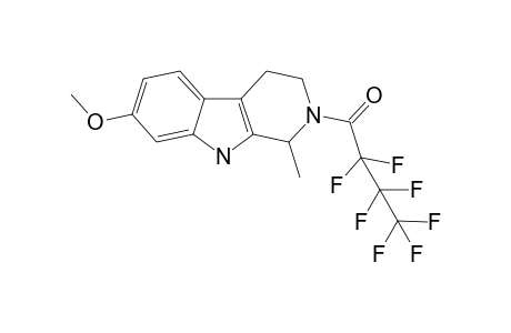 Tetrahydroharmine HFB