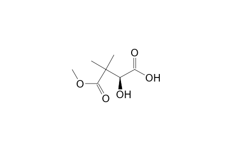 Butanedioic acid, 3-hydroxy-2,2-dimethyl-, 1-methyl ester, (S)-