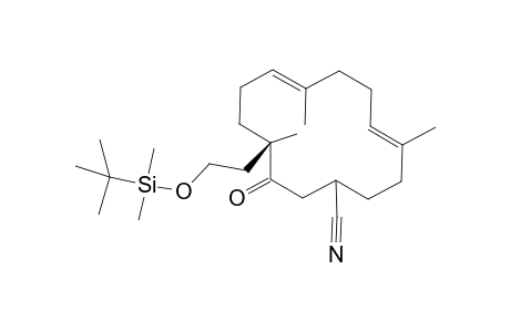 12-[2-(Butyldimethylsiloxy)ethyl)-4,8,12-trimethyl-13-oxocyclotetradeca-4,8-dienecarbonitrile isomer