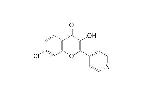 7-chloro-3-hydroxy-2-(4-pyridyl)chromone