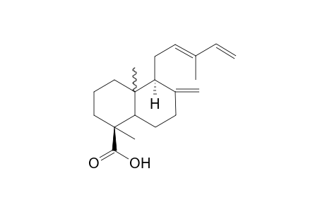 (ent)-trans-communic acid