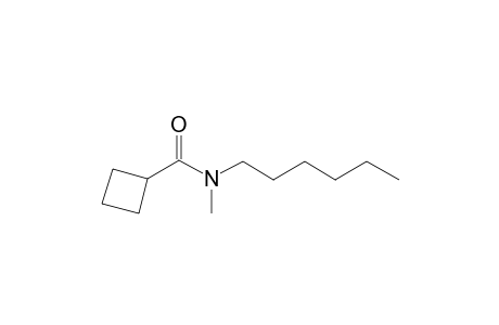 Cyclobutylcarboxamide, N-methyl-N-hexyl-