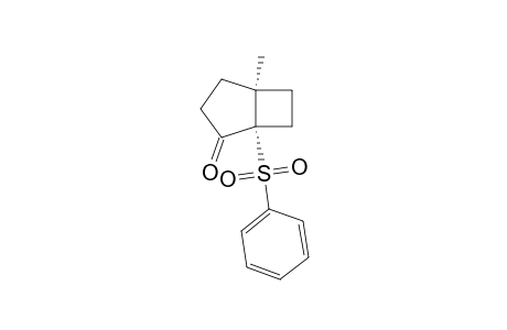 (1S,5S)-5-Methyl-1-(phenylsulfonyl)bicyclo[3.2.0]heptan-2-one