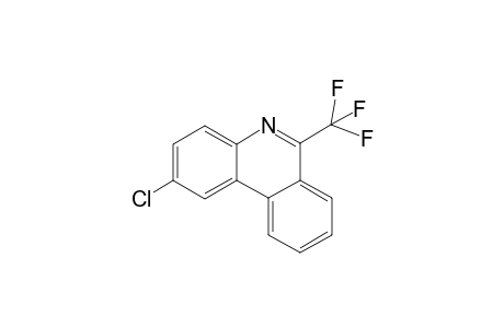 2-Chloro-6-(trifluoromethyl)phenanthridine