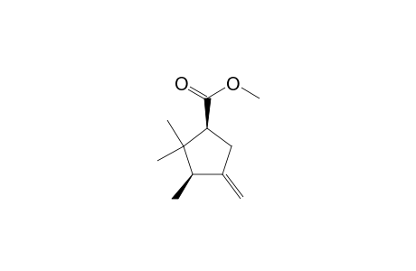 (1S,3R)-methyl 3-methlene-4,5,5-trimethylcyclopentanecarboxylate
