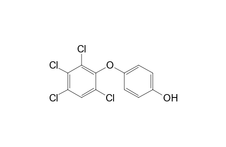 4-(2',4',5',6'-Tetrachlorophenoxy)phenol