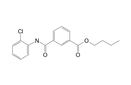 Isophthalic acid, monoamide, N-(2-chlorophenyl)-, butyl ester