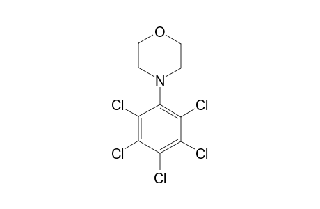 PENTACHLORMORPHOLINOBENZOL