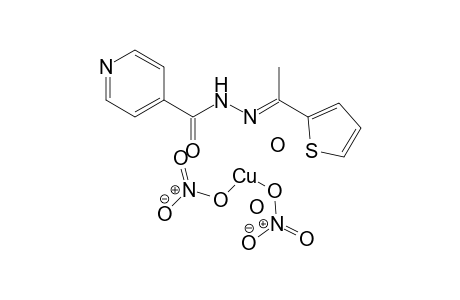 (nitrooxy)cuprio nitrate N'-[(1E)-1-(thiophen-2-yl)ethylidene]pyridine-4-carbohydrazide dihydrate