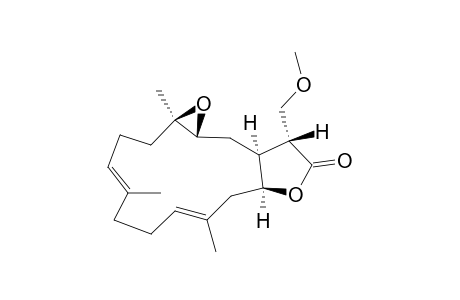 15(epi)-Methoxymethyleuniolide