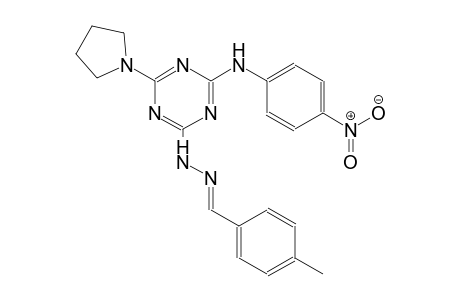 benzaldehyde, 4-methyl-, [4-[(4-nitrophenyl)amino]-6-(1-pyrrolidinyl)-1,3,5-triazin-2-yl]hydrazone