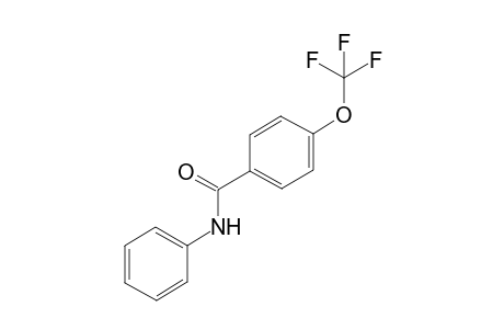 N-Phenyl-4-(trifluoromethoxy)benzamide