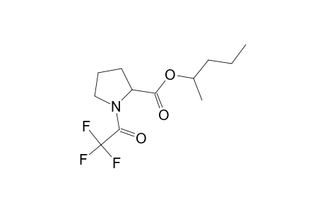 l-Proline, 1-(trifluoroacetyl)-, 1-methylbutyl ester