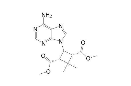 9-[4,4-Dimethyl-trans-2,cis-3-bis(methoxycarbonyl)cyclobut-r-1-yl]adenine