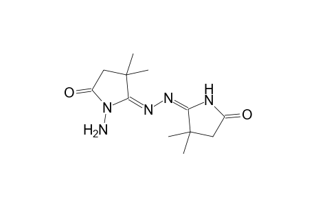 (5E)-1-amino-5-[(4,4-dimethyl-2-oxo-3H-pyrrol-5-yl)hydrazinylidene]-4,4-dimethyl-2-pyrrolidinone