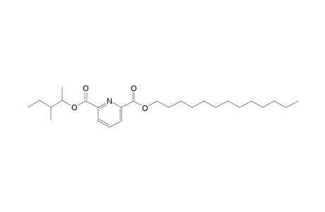 2,6-Pyridinedicarboxylic acid, 3-methylpent-2-yl tridecyl ester