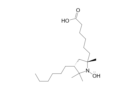 1-Pyrrolidinyloxy, 5-(5-carboxypentyl)-3-hexyl-2,2,5-trimethyl-, trans-