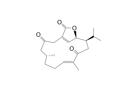 SARCOSTOLIDE_G