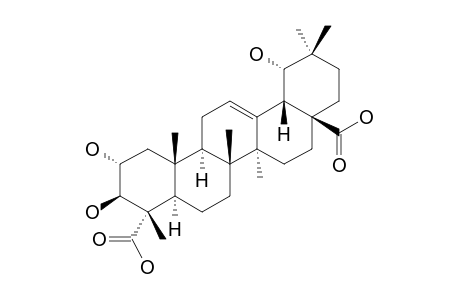 2-ALPHA,3-BETA,19-ALPHA-TRIHYDROXY-OLEAN-12-ENE-23,28-DIOIC-ACID;F70.2.5