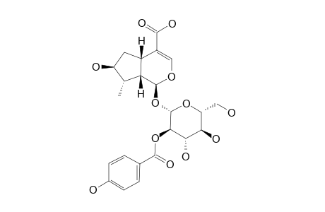 2'-O-PARA-HYDROXYBENZOYL-8-EPILOGANIC-ACID