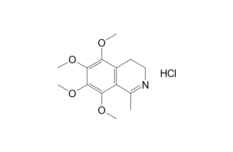 3,4-dihydro-1-methyl-5,6,7,8-tetramethoxyisoquinoline, hydrochloride