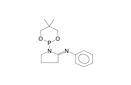 2-(2-PYRROLIDINPHENYLIMIN-1-YL)-5,5-DIMETHYL-1,3,2-DIOXAPHOSPHORINANE