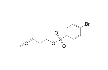 Penta-3,4-dien-1-yl 4-bromobenzenesulfonate