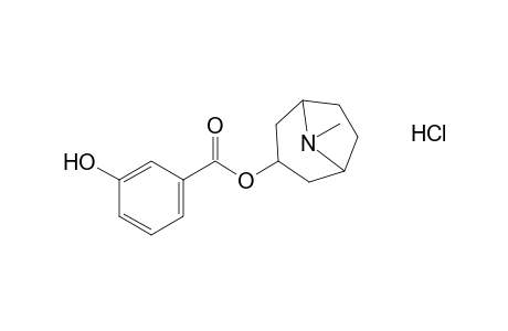 tropan-3-ol, m-hydroxybenzoate, hydrochloride