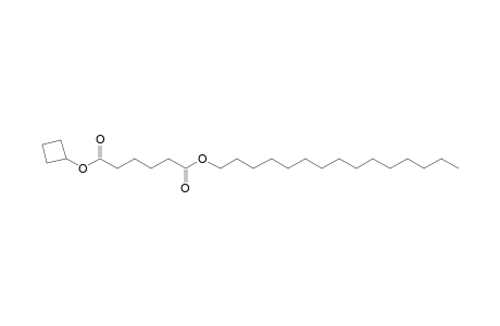 Adipic acid, cyclobutyl pentadecyl ester