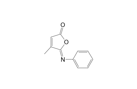 n-Phenylisocitraconimide, Beta-form