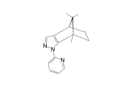 (4S,7R)-7,8,8-TRIMETHYL-1-(2-PYRIDYL)-4,5,6,7-TETRAHYDRO-4,7-METHANO-1-H-INDAZOLE